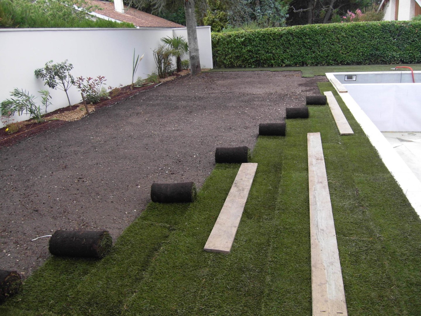 Gazon de placage et gazon semé Concept Paysager