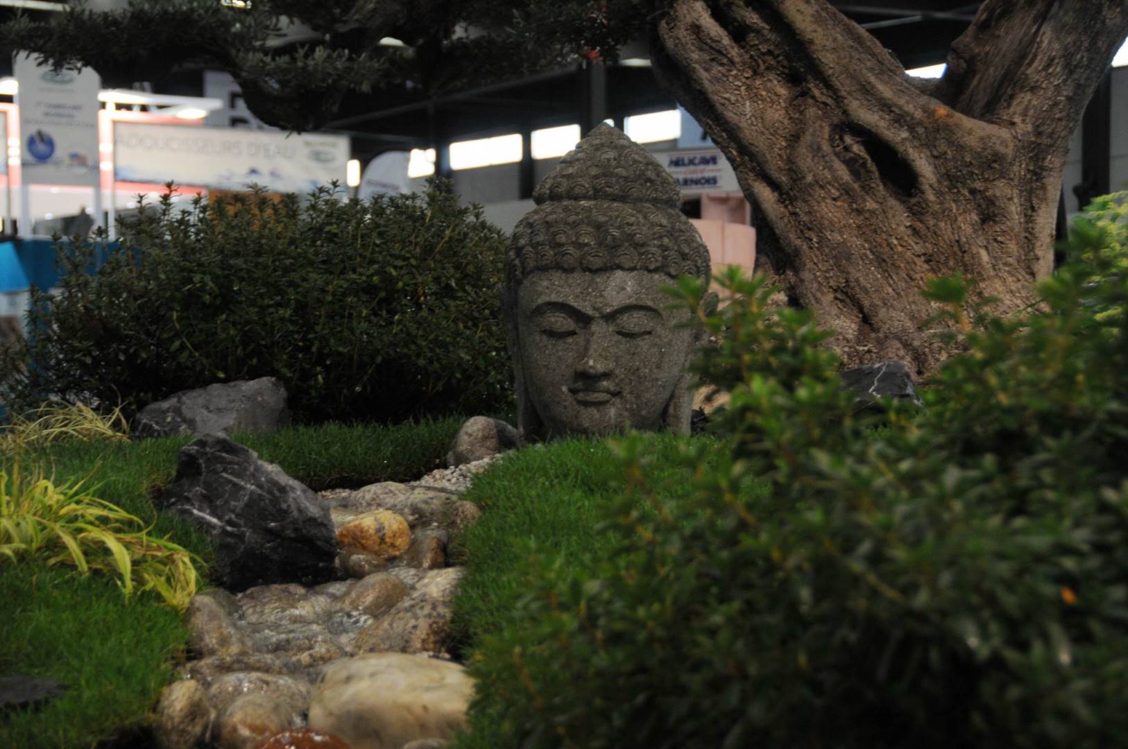 Cache-cache avec le bouddha Cache-cache avec le bouddha