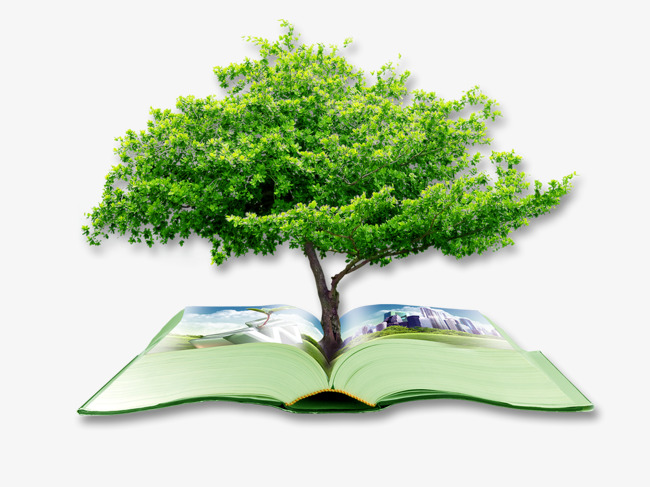 Arbre et livre ouvert