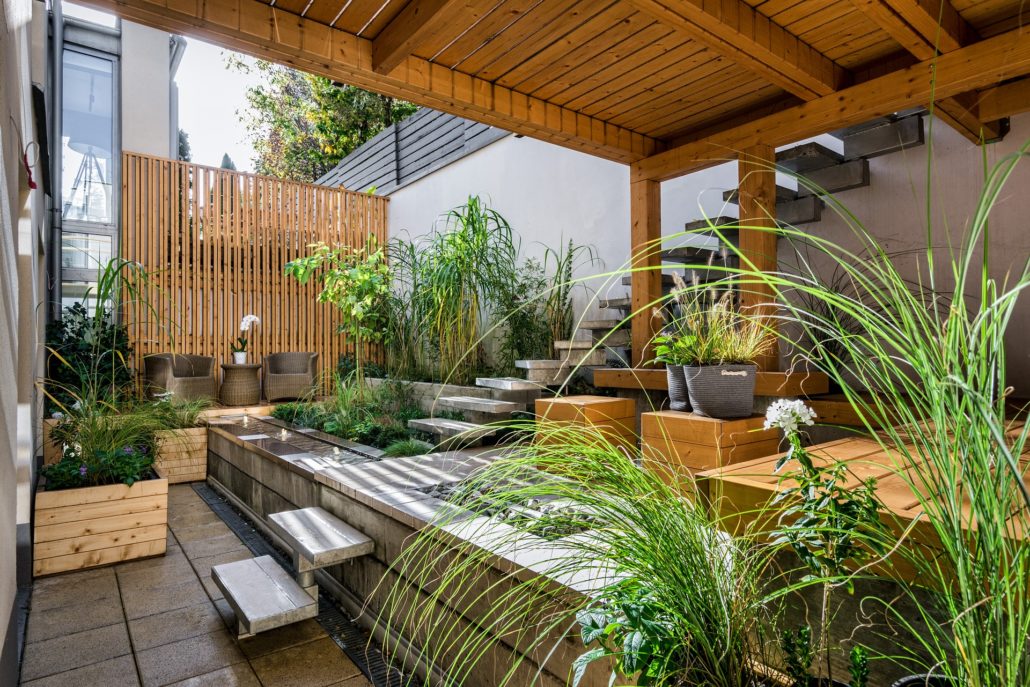 Petit jardin moderne