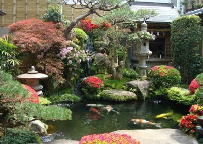 Jardin japonais avec sa pièce d'eau