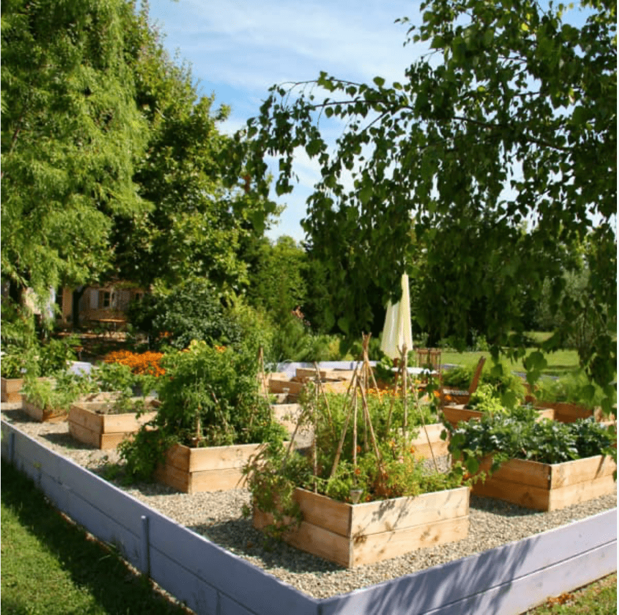 potager vertical jardin
